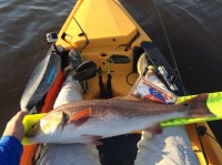Catch Photo Submit - Year Long Tournament